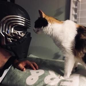 Meet your Posher, Mike